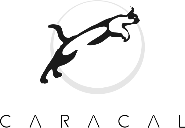 Caracal logo 2